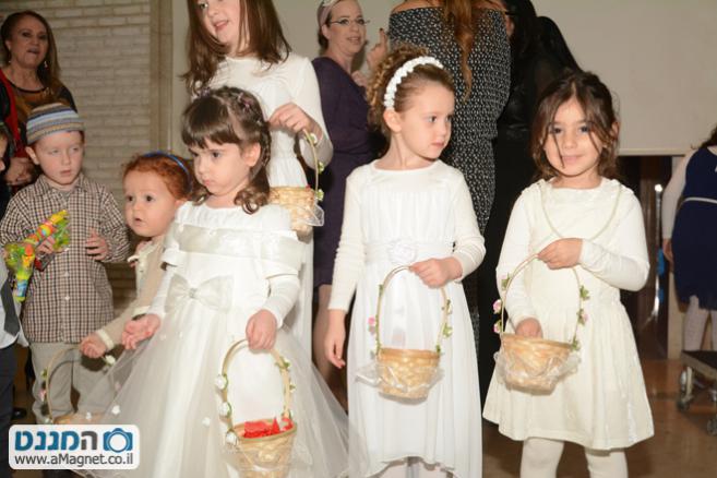 תמונה גדולה